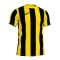 Jersey Joma Inter m/c