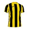 Camisola Joma Inter m/c