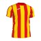 Camiseta Joma Inter m/c