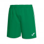 Liga Verde-Branco