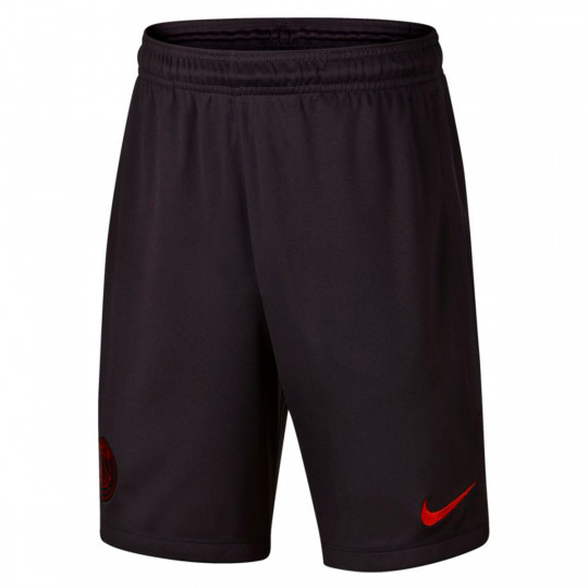 psg nike training