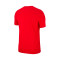 Jersey Nike Sportswear Icon Futura