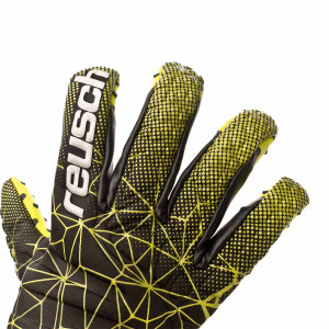 DORSO-1