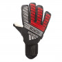 Predator Pro Ultimate Black-Silver metallic-Hi-Res red