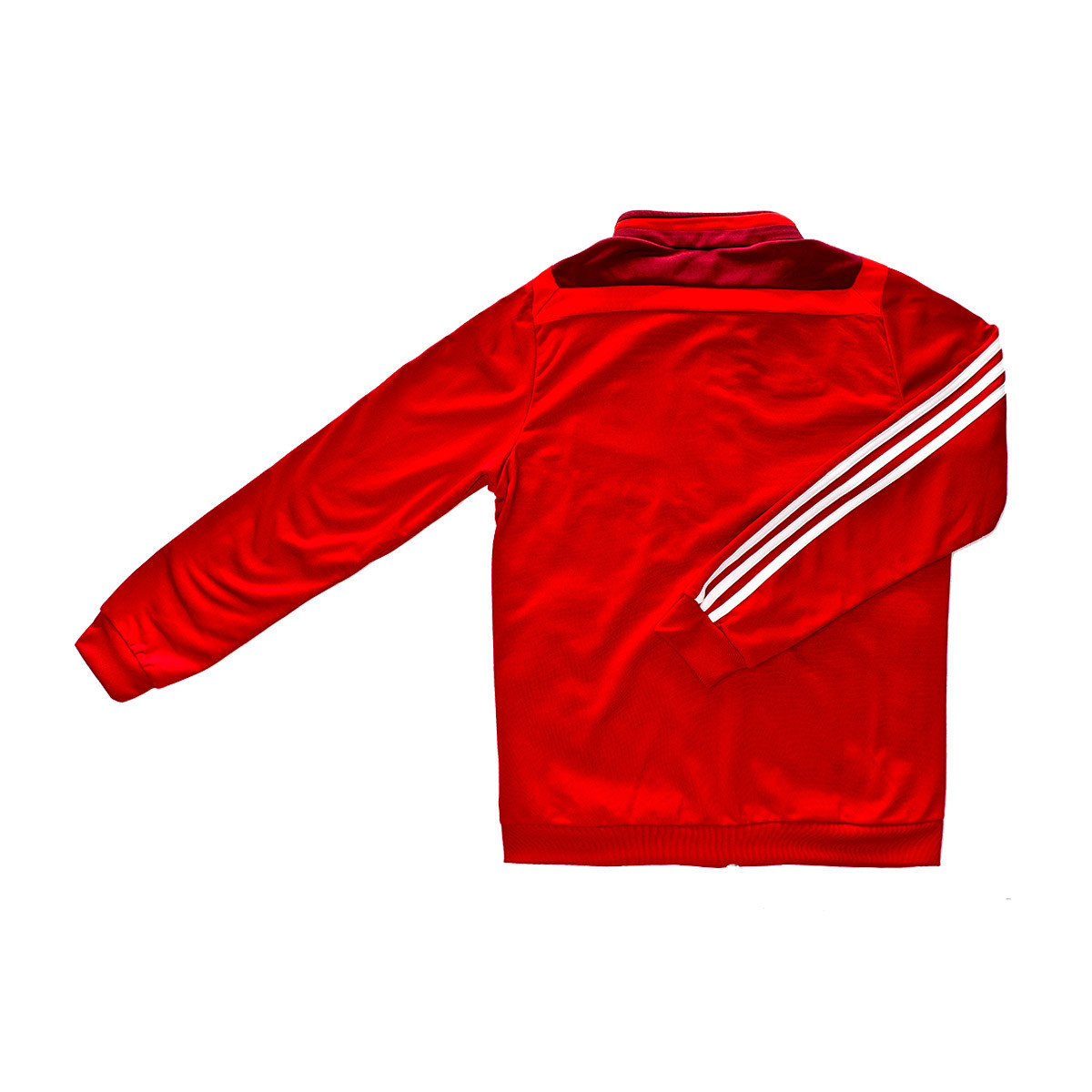 benfica jacket adidas