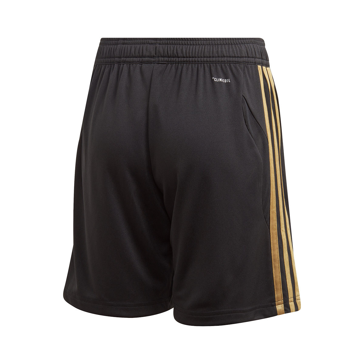 adidas black and gold shorts