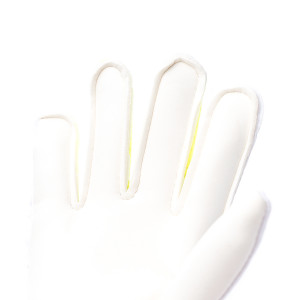 PALM-0