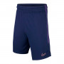 Tottenham Hotspur Dry Strike 2019-2020 Niño Binary blue-Action grape