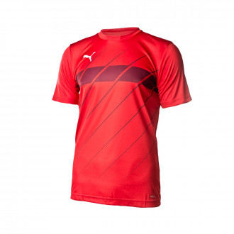 Camisola Puma ftblPLAY Graphic 2019-2020 Puma Red-Burgundy