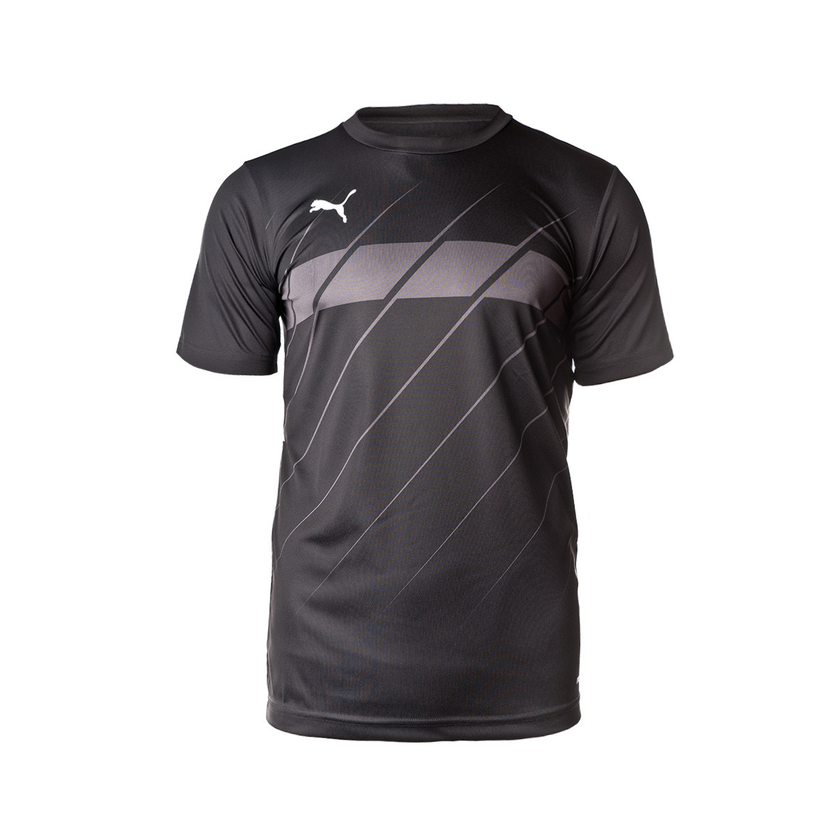 Graphic 2019-2020 Puma black-Asphalt 