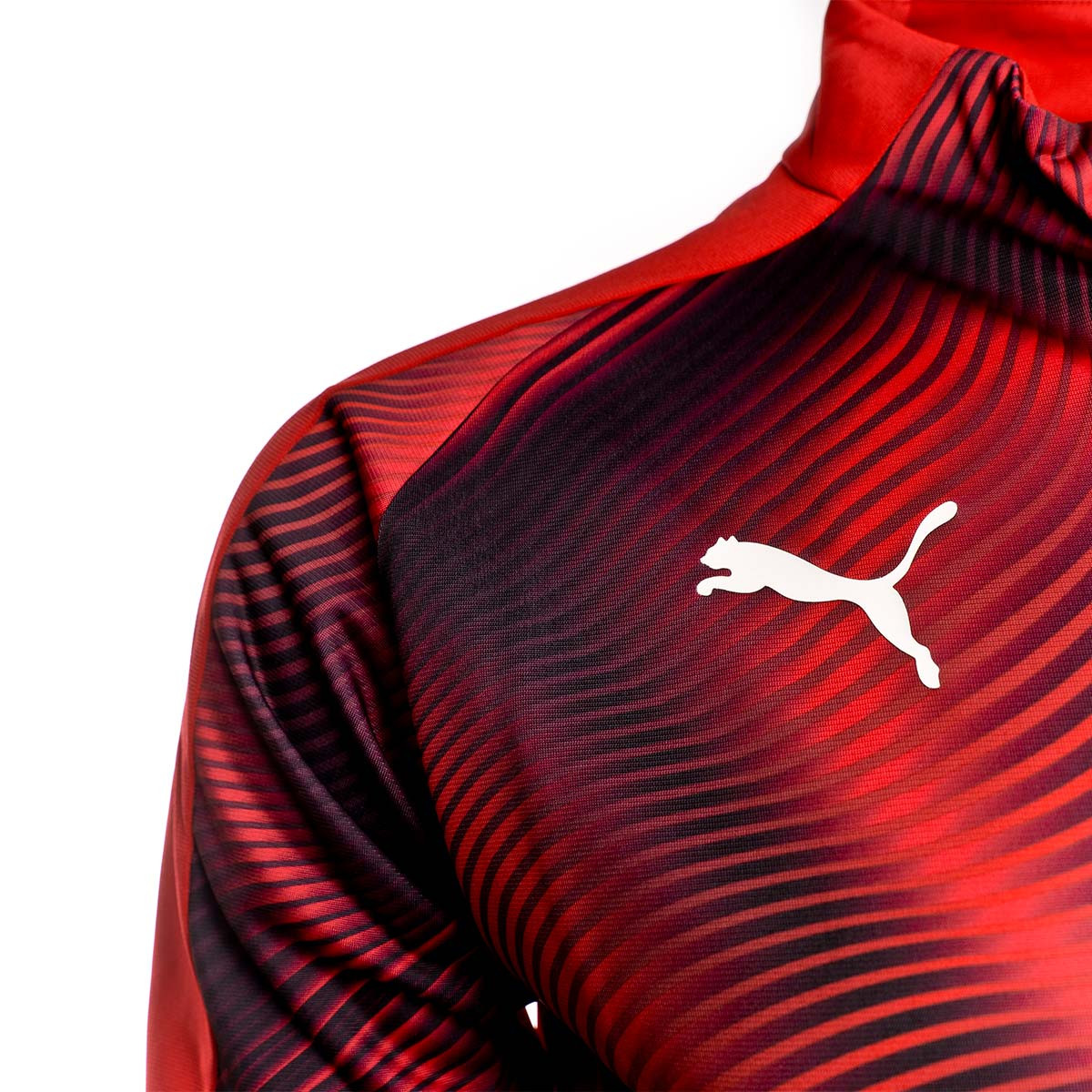 puma 2019 2020