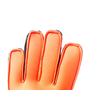 PALM-0