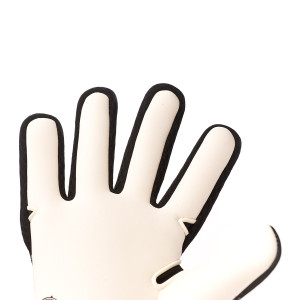 PALM-0