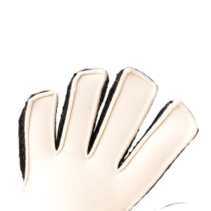 PALM-0