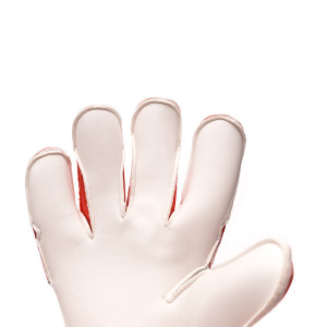 PALM-0