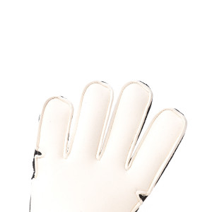 PALM-0