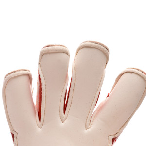 PALM-0