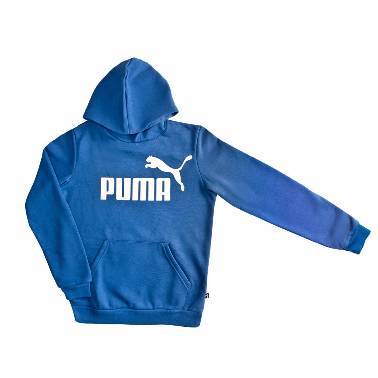 puma ess logo hoodie