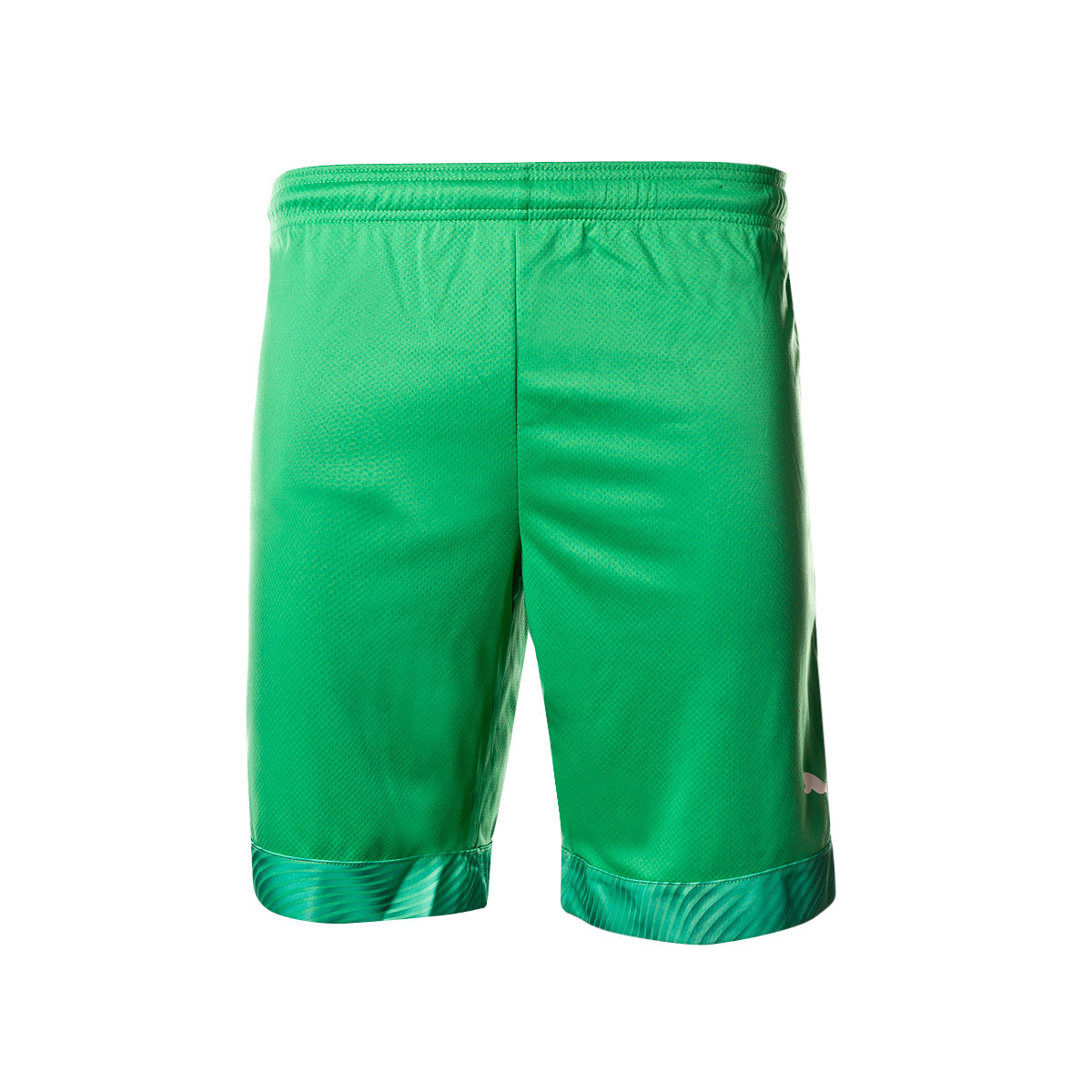 puma valencia shorts