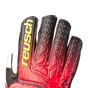 DORSO-1