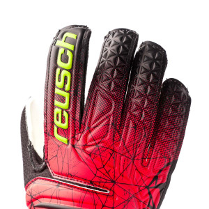 DORSO-1