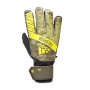 Predator Training Niño Raw khaki-Trace olive