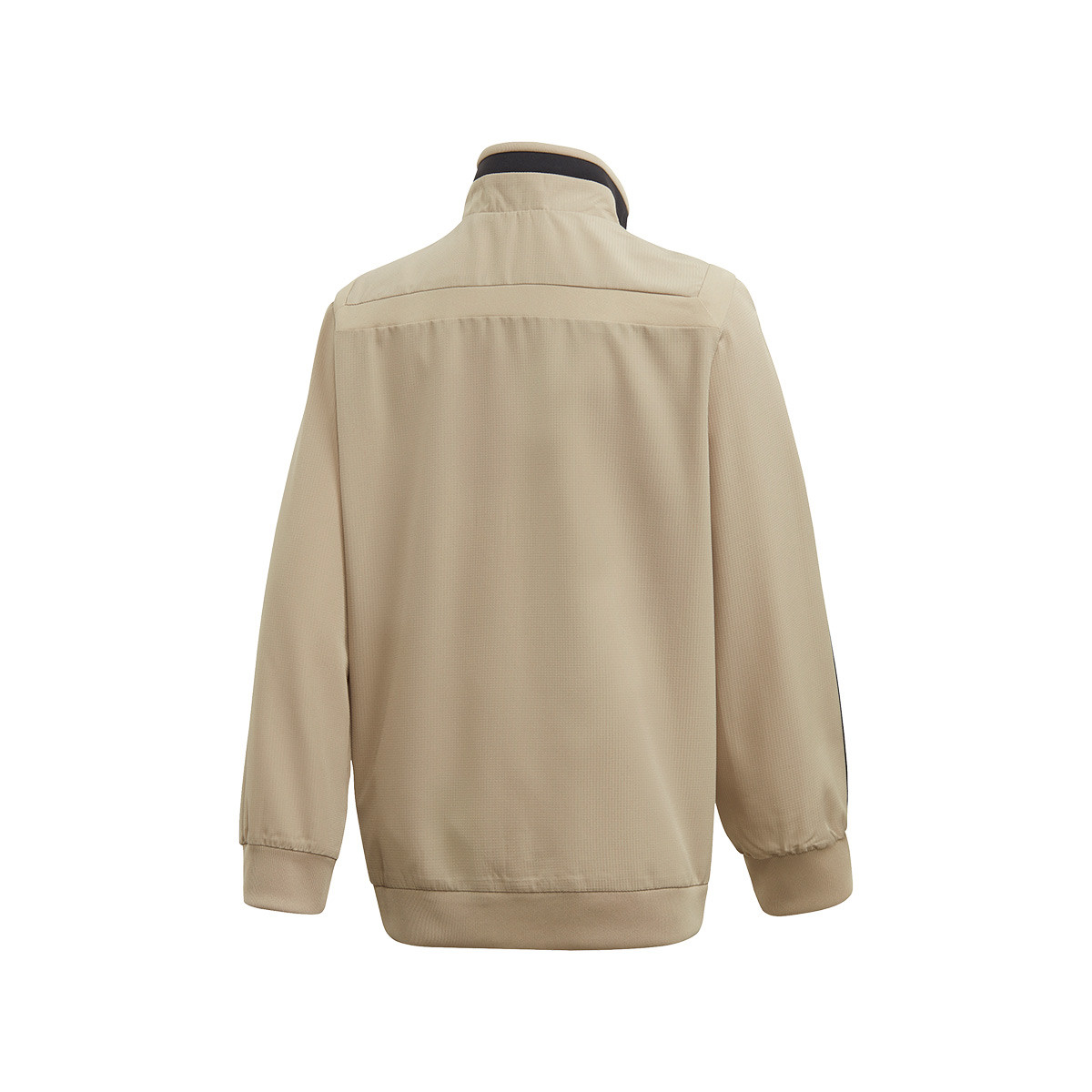 chandal adidas 2019