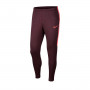 Dri-FIT Academy Niño Burgundy ash-Racer pink