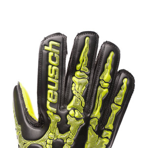 DORSO-1