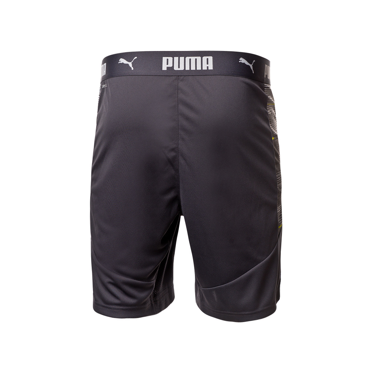 puma ftblnxt shorts