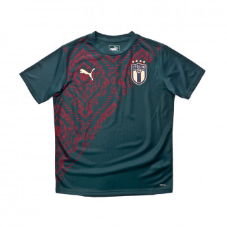 Maglie della Nazionale italiana. Abbigliamento della Maglie della Nazionale italiana. Abbigliamento della