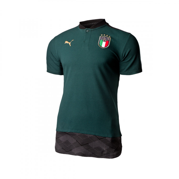 polo puma 