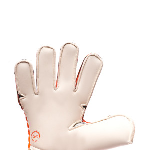 PALM-0