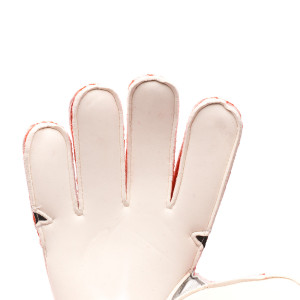 PALM-0