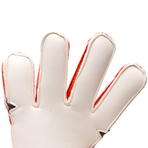 PALM-0