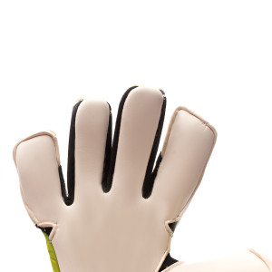 PALM-0