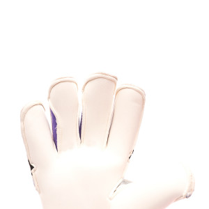 PALM-0