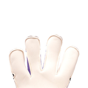 PALM-0