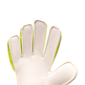 PALM-0