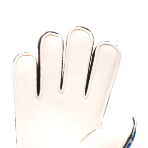 PALM-0