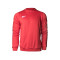 SP Fútbol Kids Valor Sweatshirt