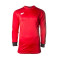 Maillot SP Fútbol M/L Valor