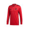 Camiseta Alemania Portero 2020-2021 Glory Red