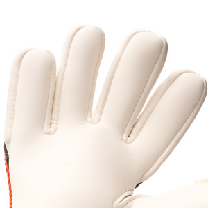 PALM-0