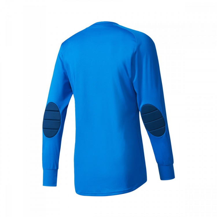 adidas assita 17 goalkeeper jersey