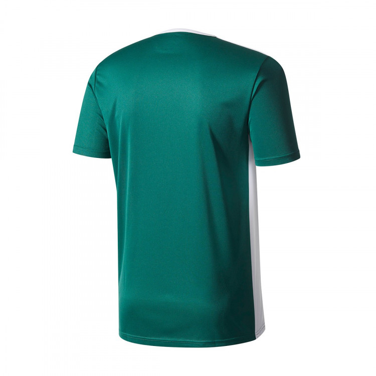 camiseta-adidas-entrada-18-mc-nino-collegiate-green-white-1