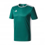 Entrada 18 m/c Niño Core Green-White
