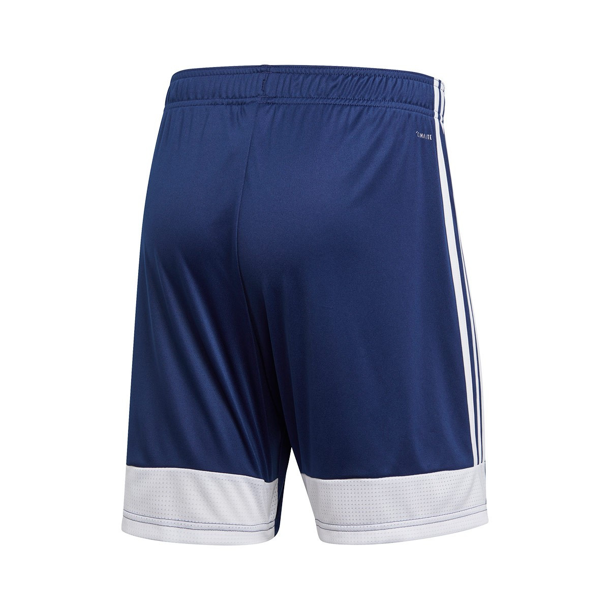 tastigo shorts