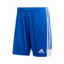 Tastigo 19 Niño Bold Blue-White