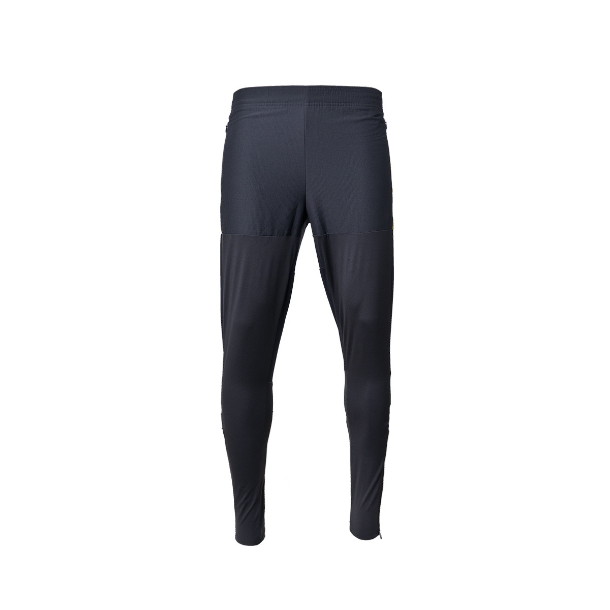 puma ftblnxt pro pants